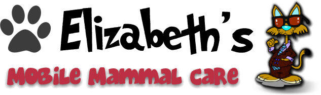 black_mobile_mammal_care_logo_652x191_JPG